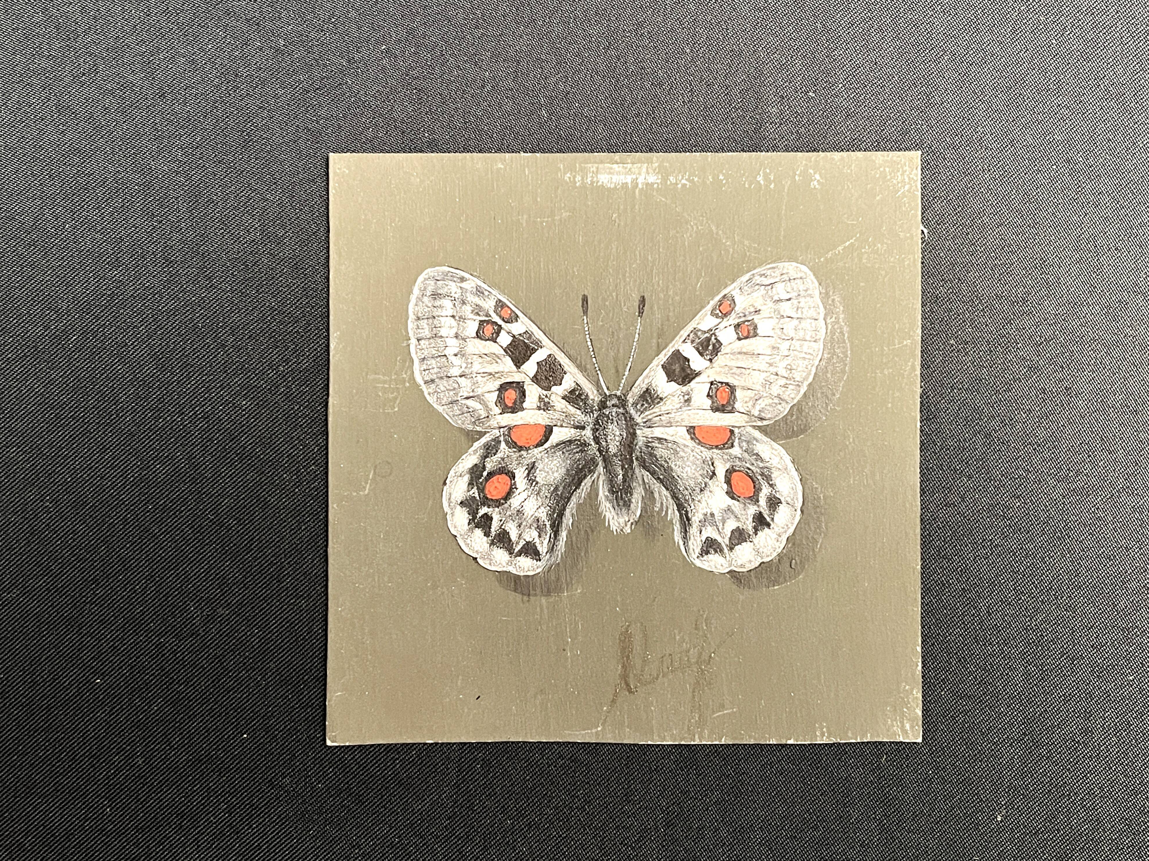 Pastel, butterfly drawing signed, 20th century frame