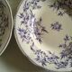 Set of 7 soup plates earthenware of Sarreguemines circa 1870 décor thorns