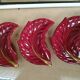 Lot de 3 coupelles de service verceram rouge et or