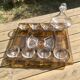 Plexiglass triumph service tray