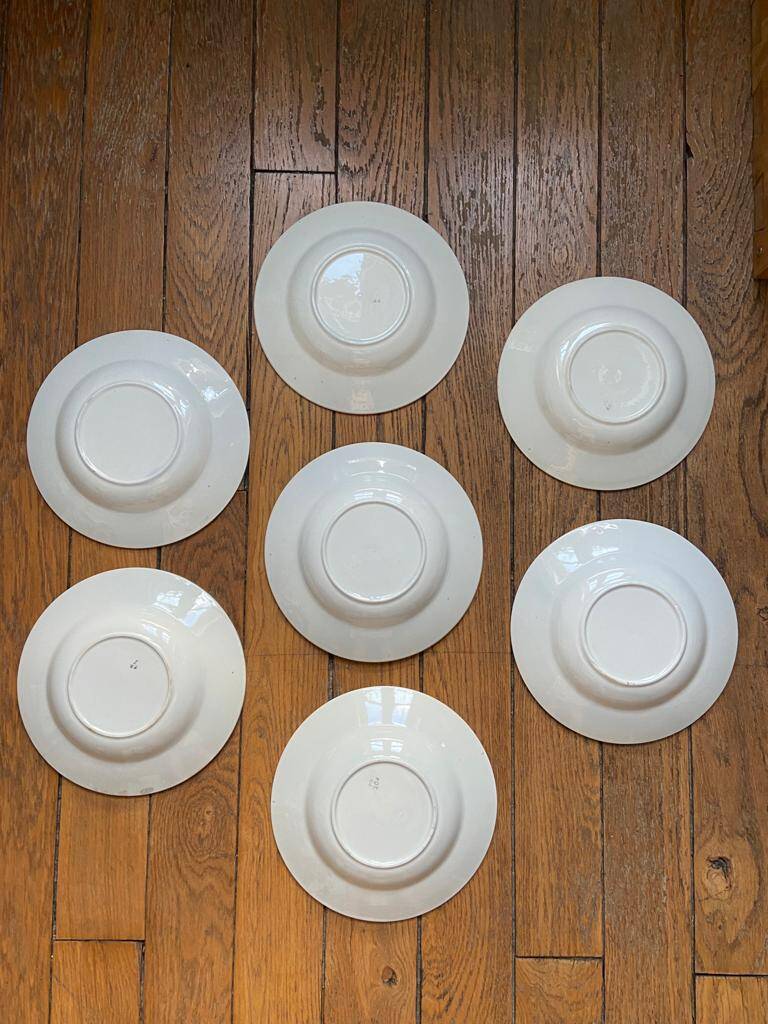 Set of 7 deep plates, turquoise rim and bird pattern.
