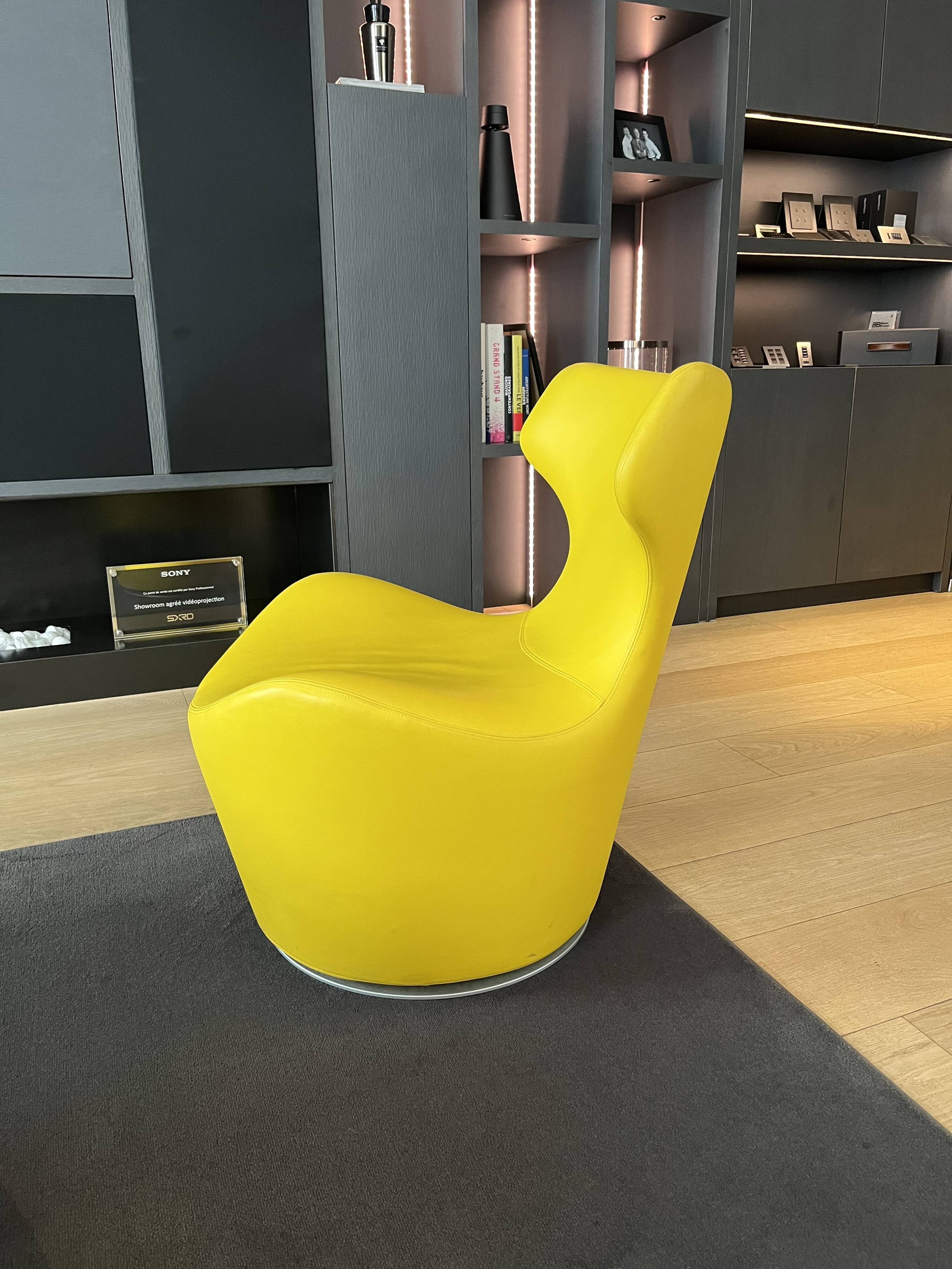 Paire de fauteuils PICCOLA PAPILIO cuir B&B Italia