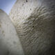 Modernist sandstone sculpture by Ineke van Zuuren, Netherlands, 1980s