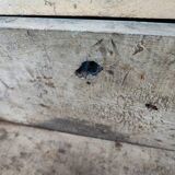 Trunk chest in raw wood