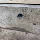 Trunk chest in raw wood