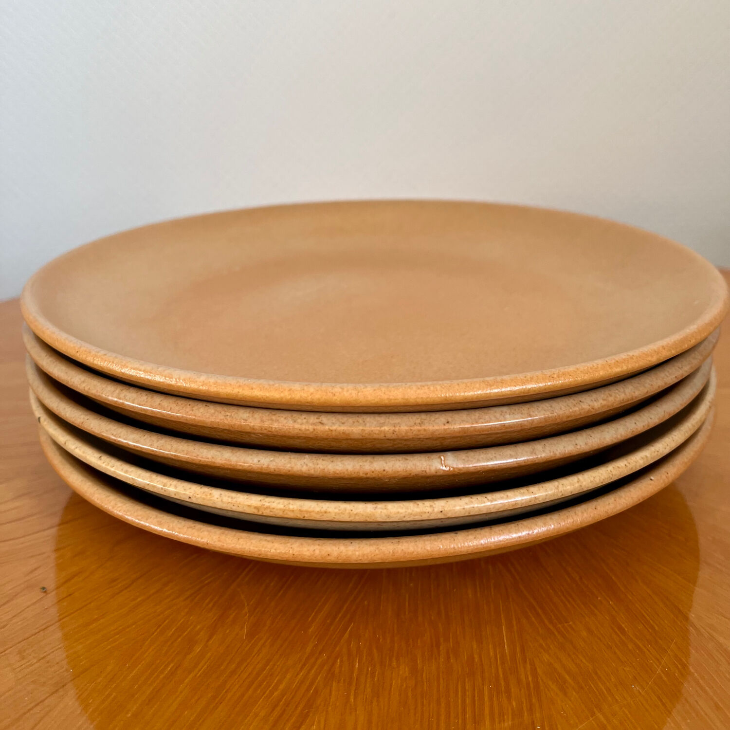 Set of 5 large vintage stoneware dinner plates
