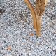 Pair of armchairs and bench in rattan and bamboo from the 60s/70s