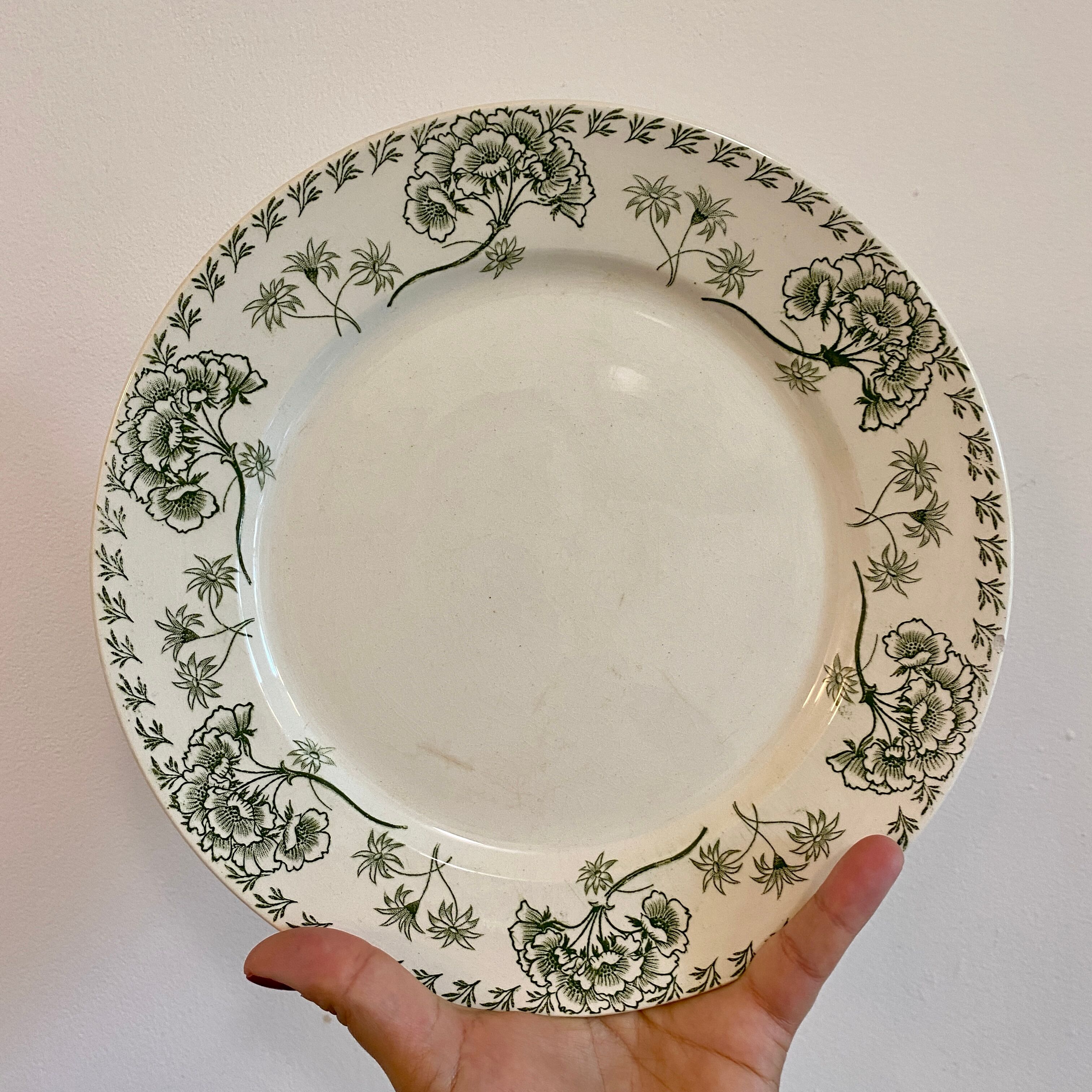 Set of 8 vintage plates in palmyre de sarreguemines iron earth (lot 3)