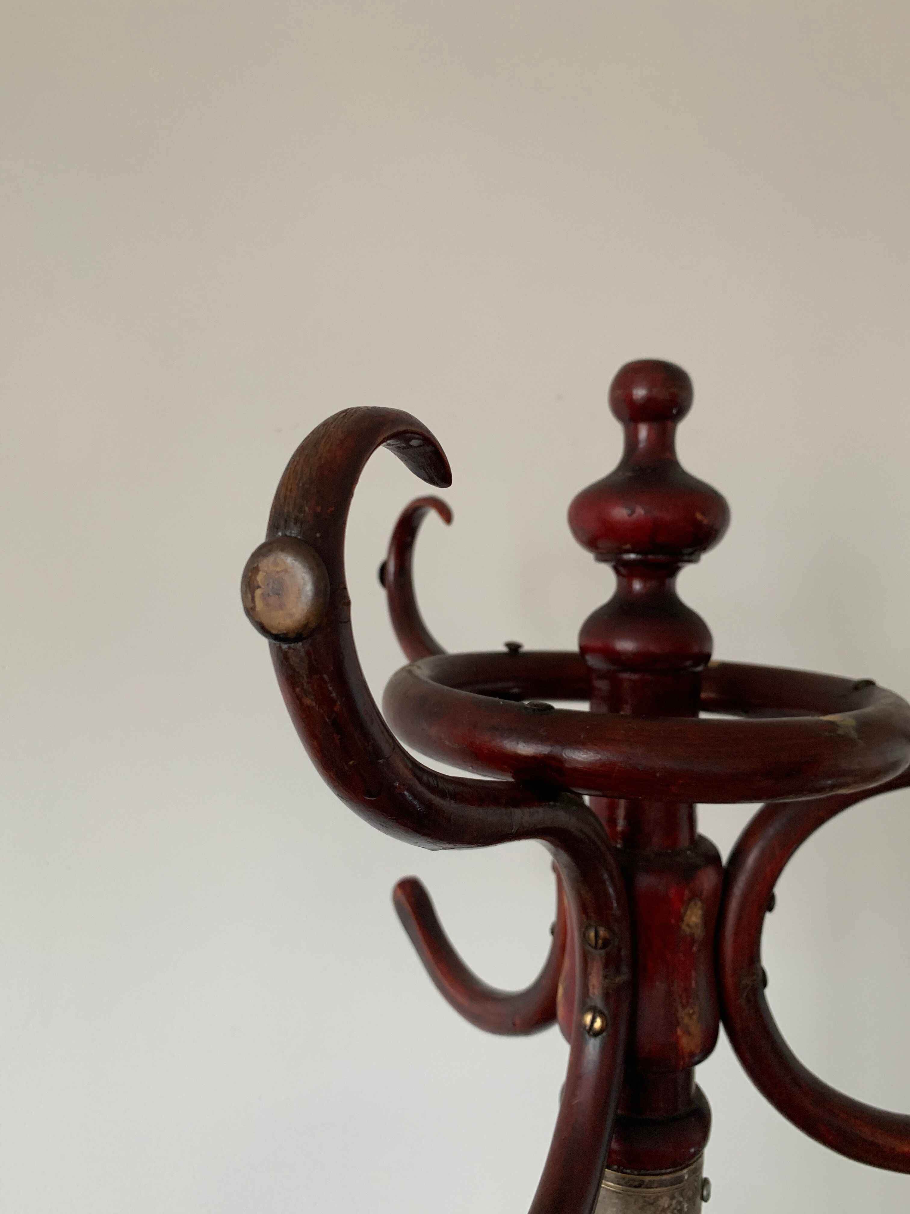 Old parrot coat hanger