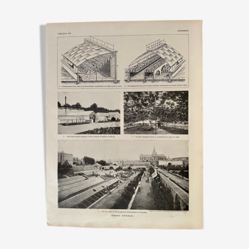 Lithographie planche photo sur les serres de 1921 (horticulture)