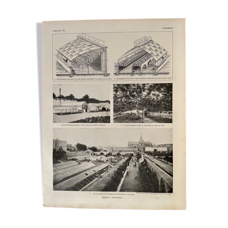 Lithographie planche photo sur les serres de 1921 (horticulture)