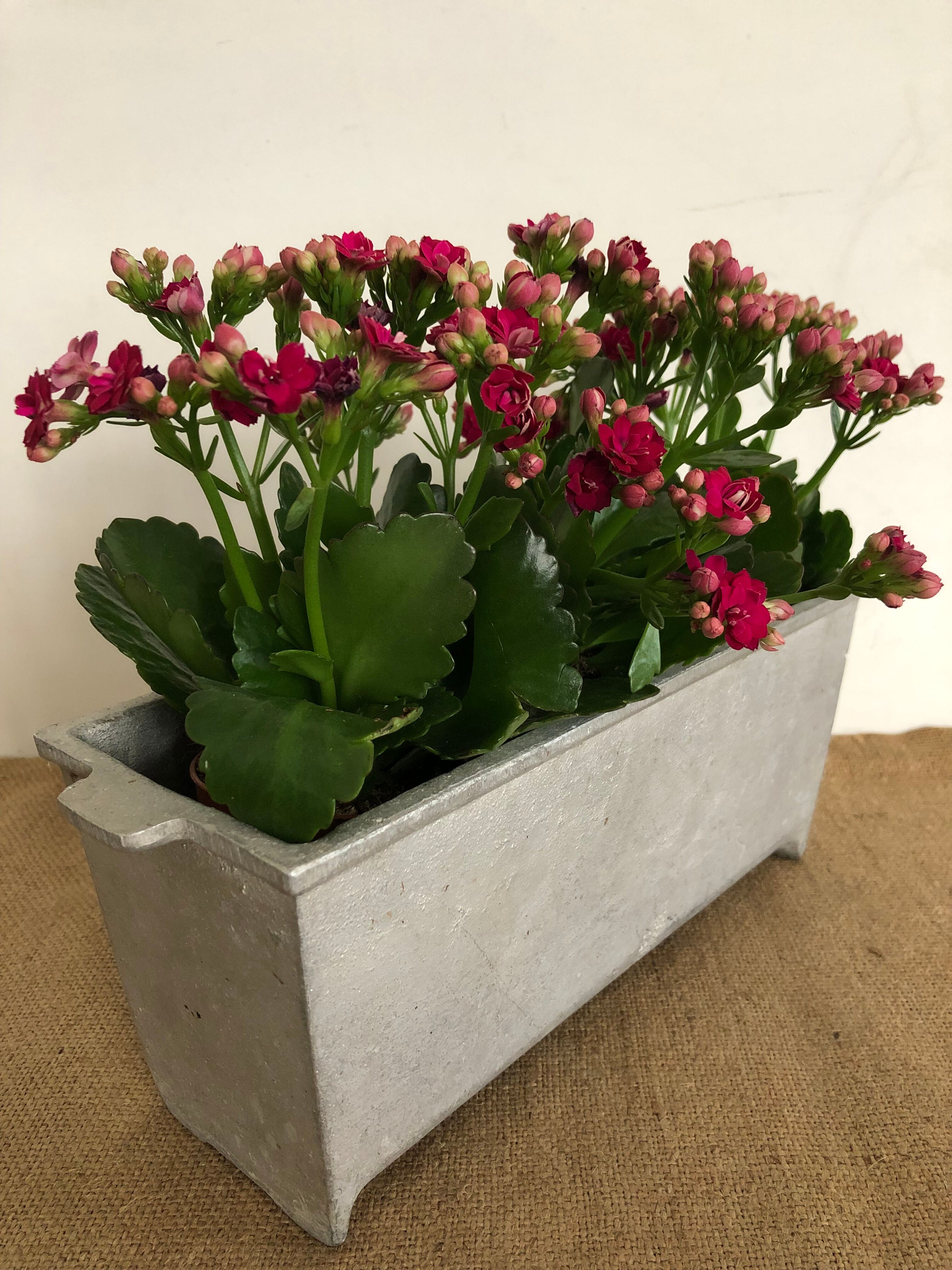 Planter, old cast aluminum mold