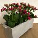 Planter, old cast aluminum mold