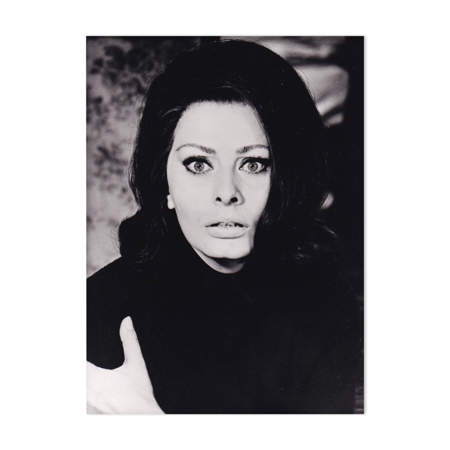 Very beautiful original film photograph Sophia Lauren