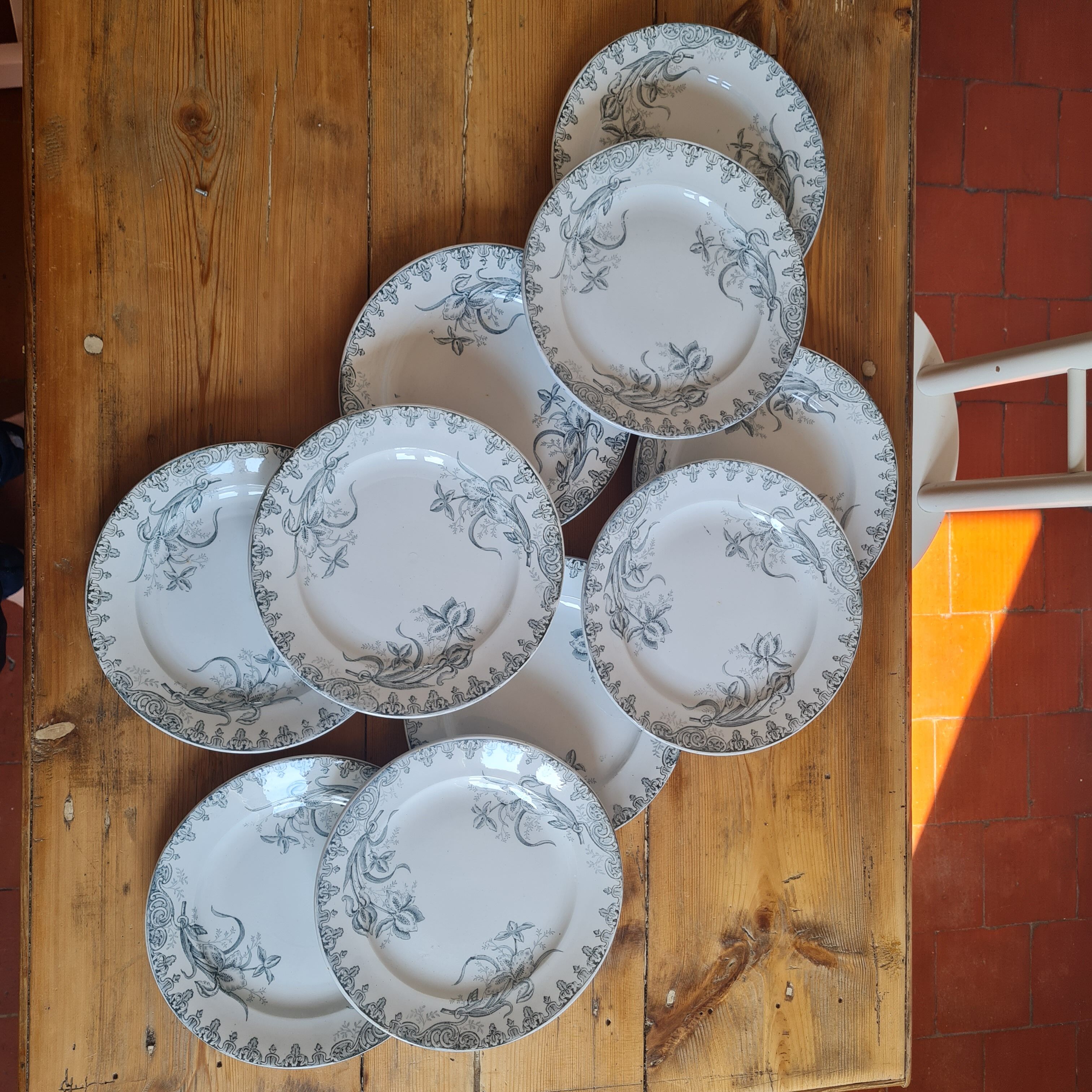 Set of 10 plates in iron earth