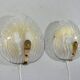Hillebrand glass wall lamps  1960’s