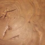 Artisanal massive elm trunk coffee table