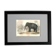 Planche zoologique originale "Eléphant" Buffon 1848