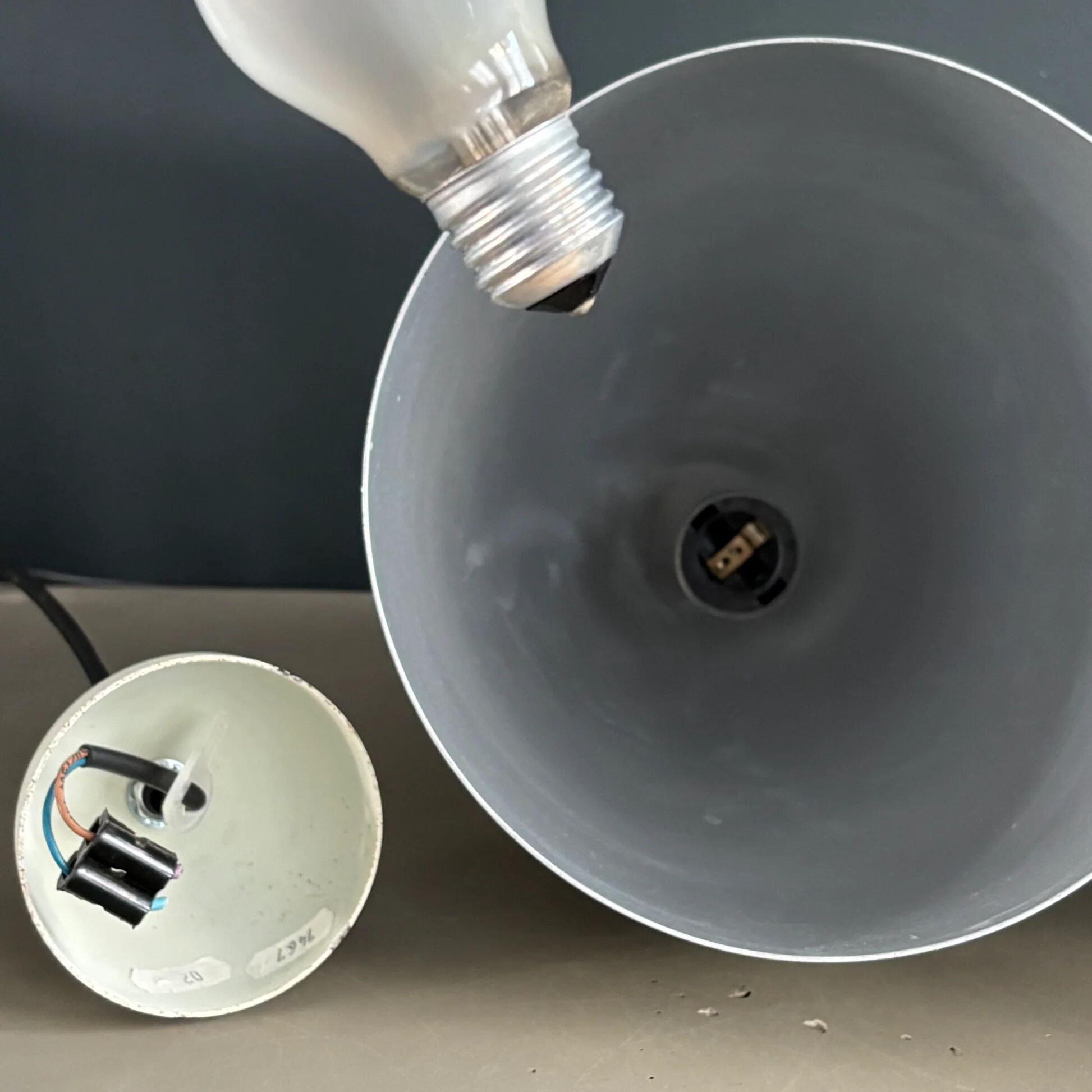 Pair of lacquered metal pendant lights with rose.
