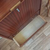 Scandinavian secretary