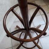 Wooden parrot holder