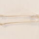 Sugar/Glacon Clamp SFAM in silver metal lion's claw