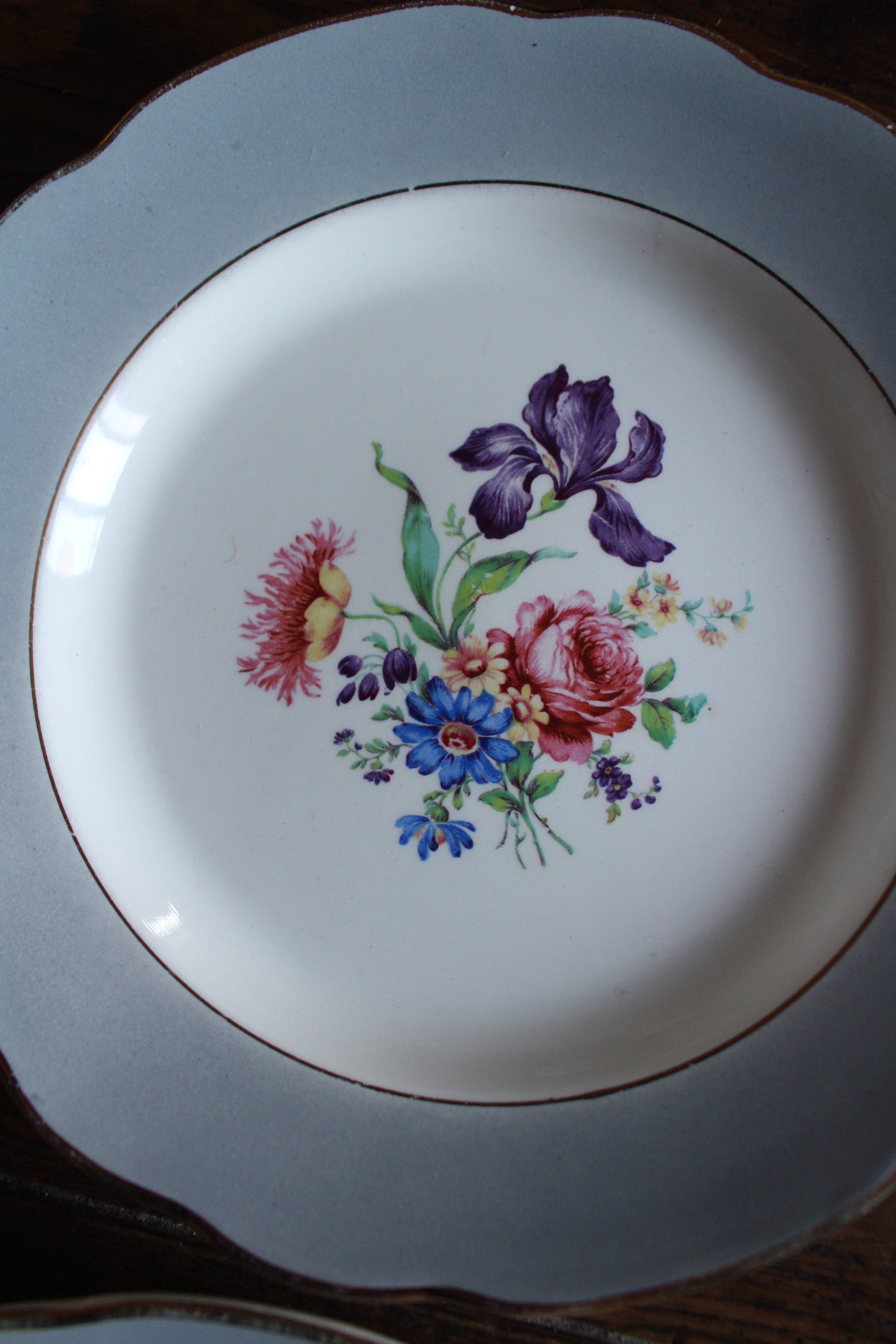 6 mismatched flat plates pairs Terre de Fer Marsac Flowers Digoin