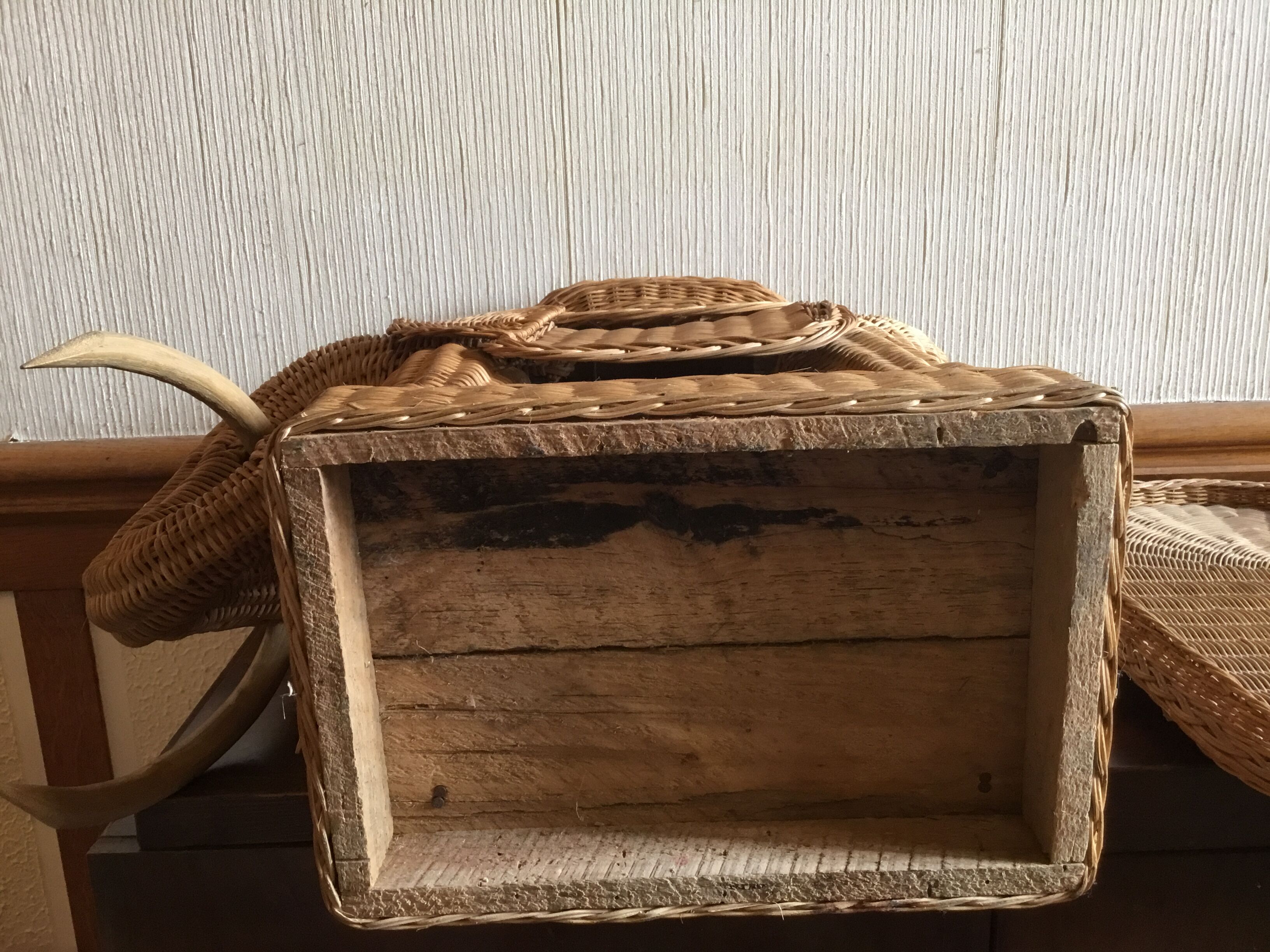 Elephant coffee table