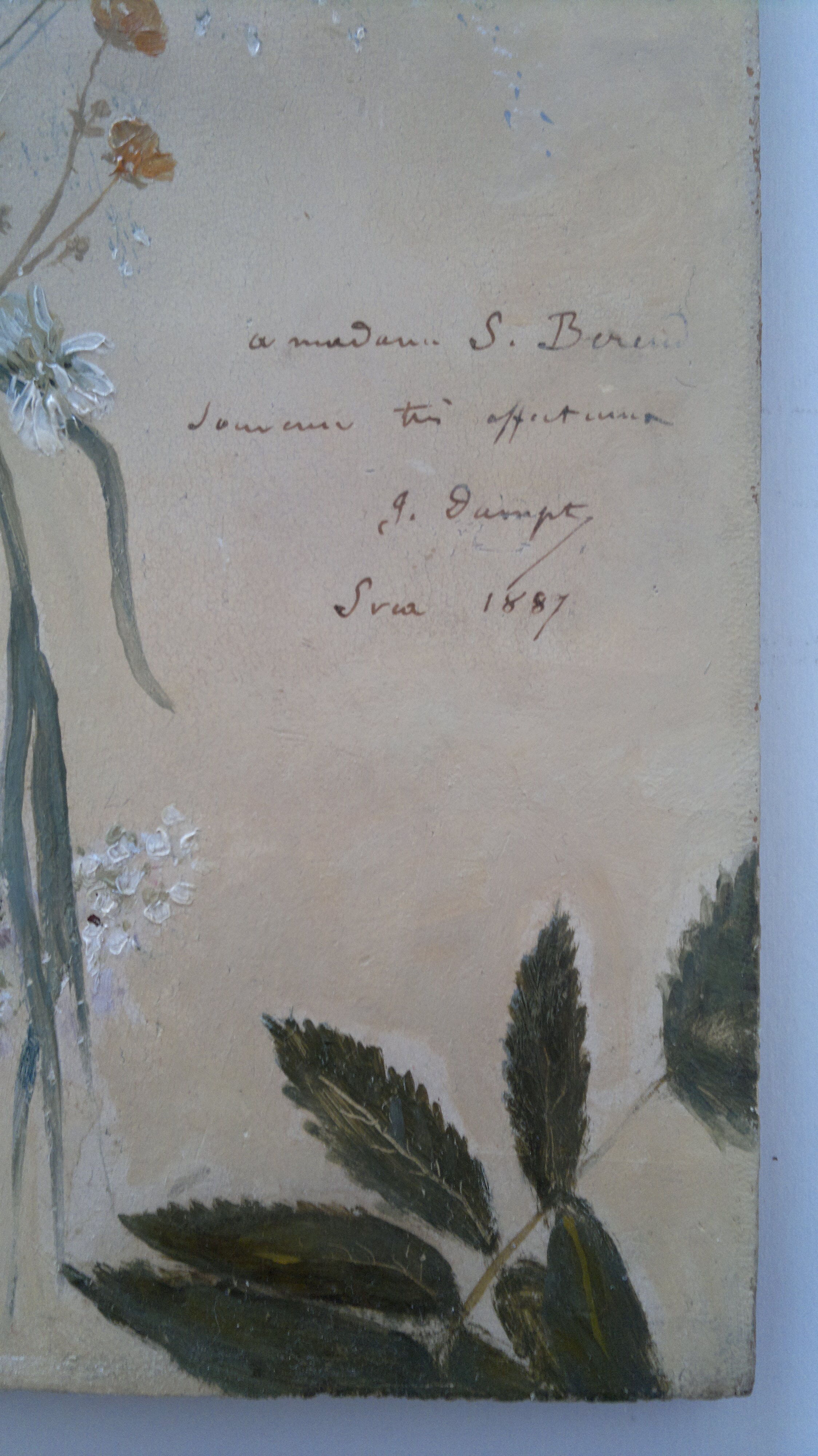 Oil painting "flowers fields" XlX