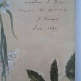 Oil painting "flowers fields" XlX