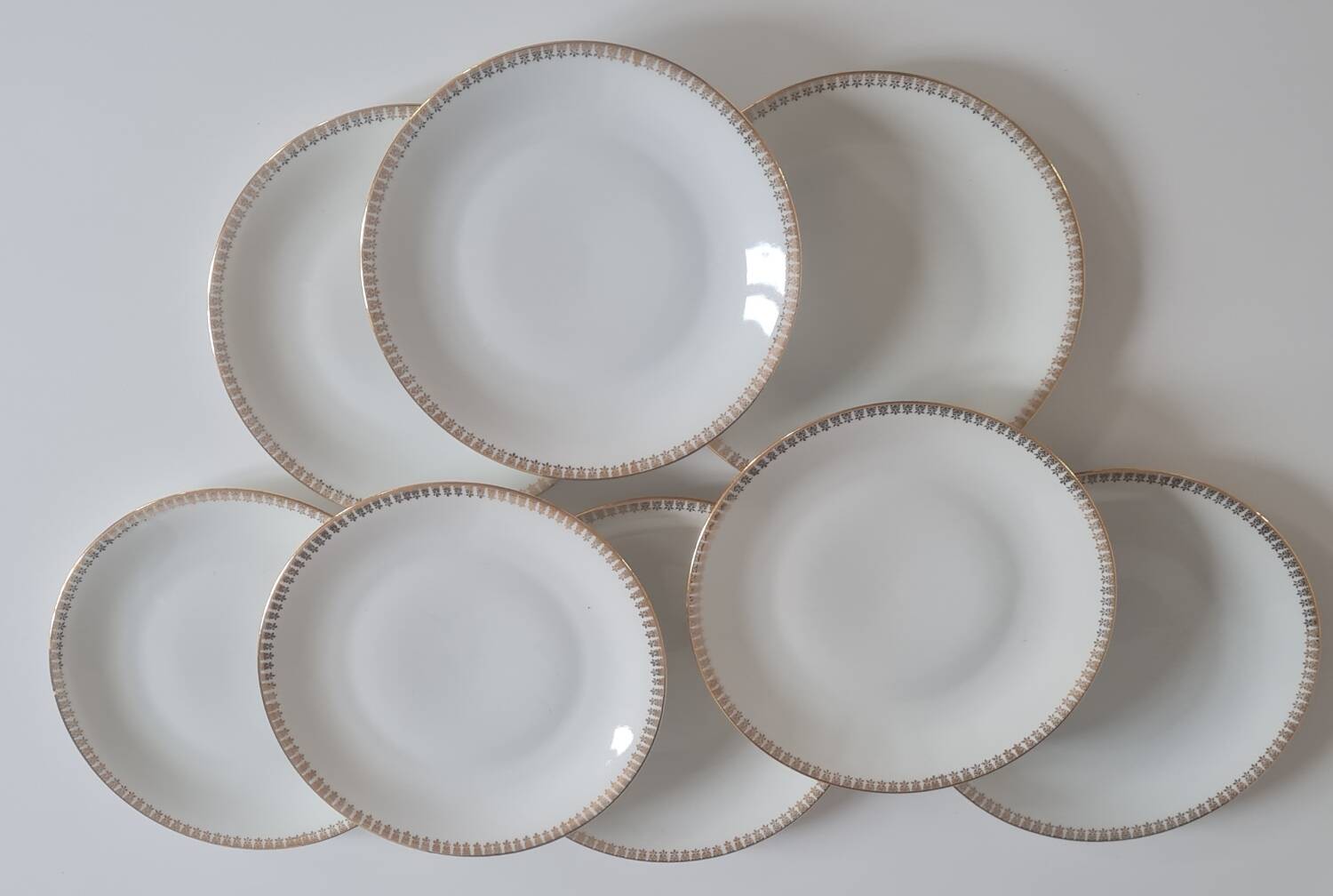 Set of 8 Limoges porcelain plates