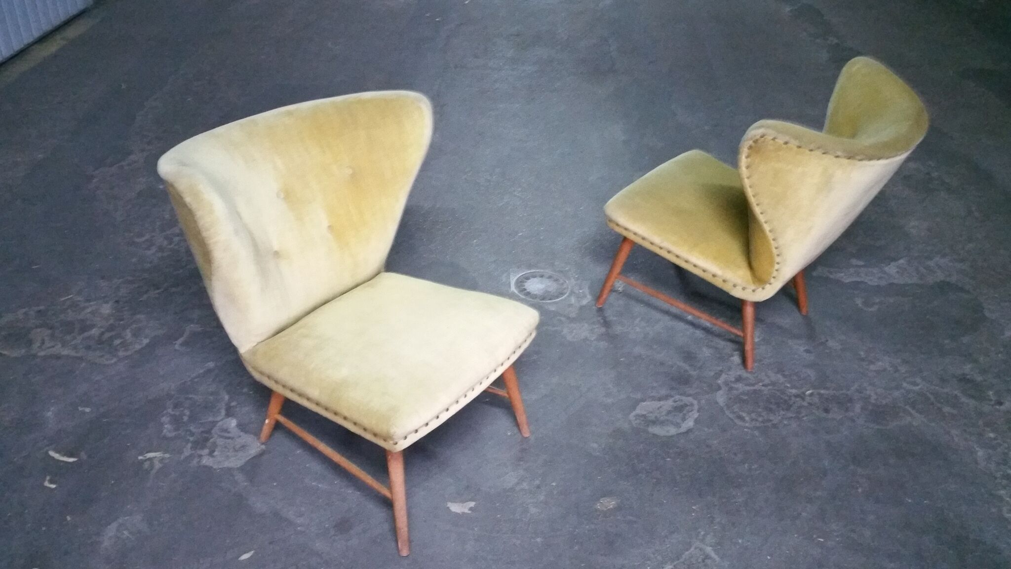 Yellow green trio of drivers at Danish flesh wing ears Elias Svedberg years 50/60