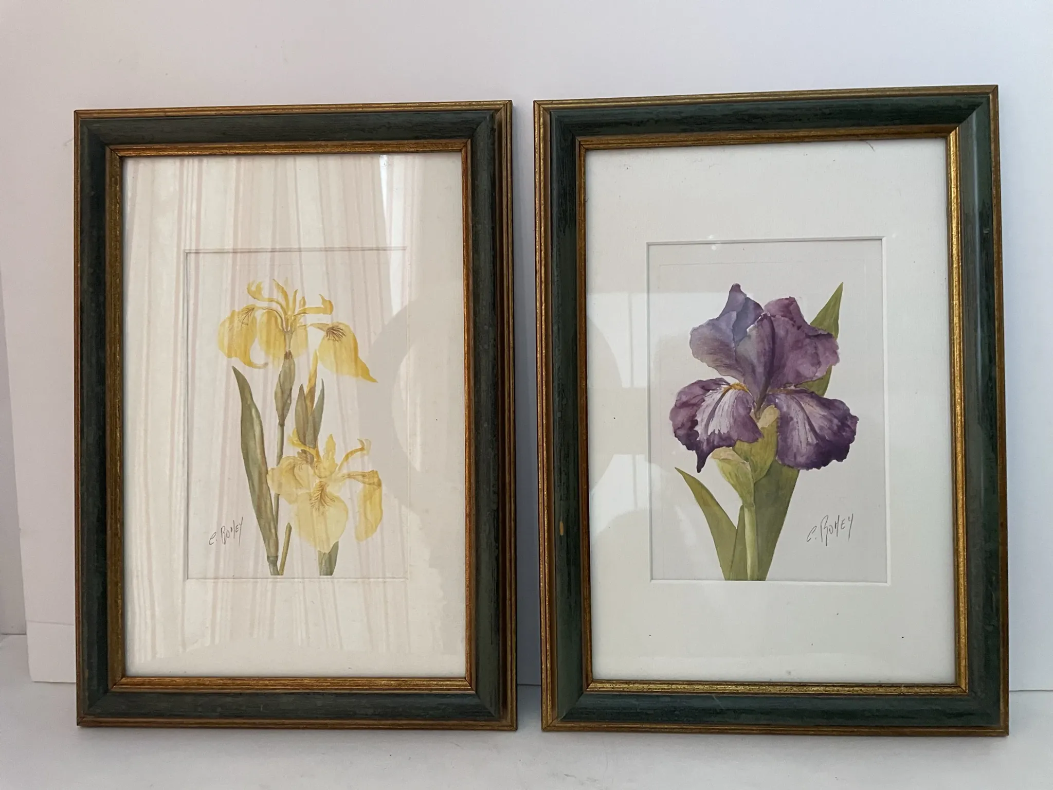 Duo d’aquarelles de Cecil Romey