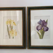Duo d’aquarelles de Cecil Romey