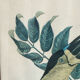 Gravure, Toucan Ariel, Descourtilz