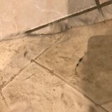 Tapis chèvre