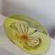 Bol à fruits en verre organique vintage du milieu du siècle Murano