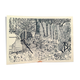 sketch