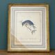 Vintage frame drawing of a bird - Japanese Nightingale