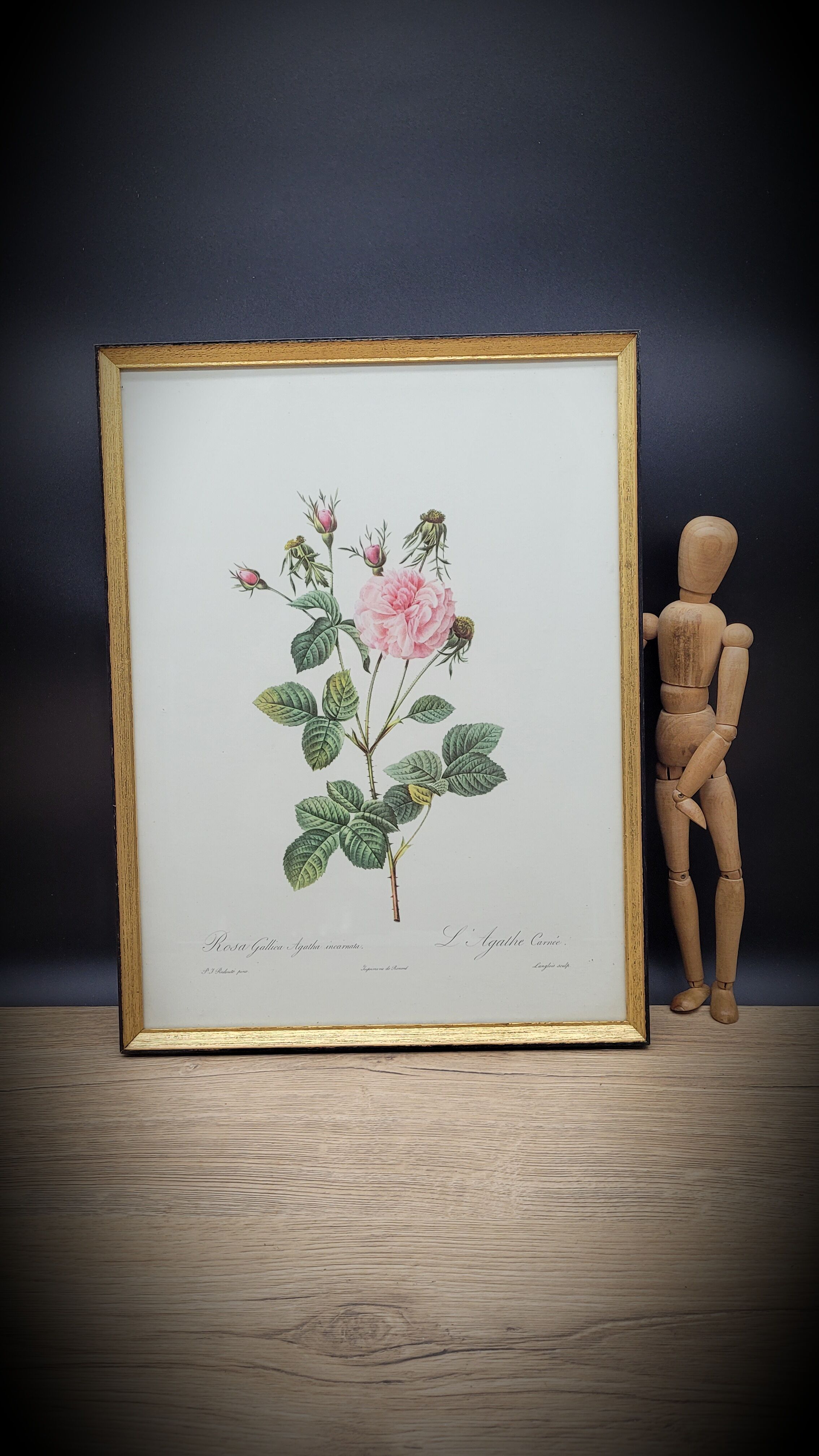 Lithograph under frame rose agathe meat