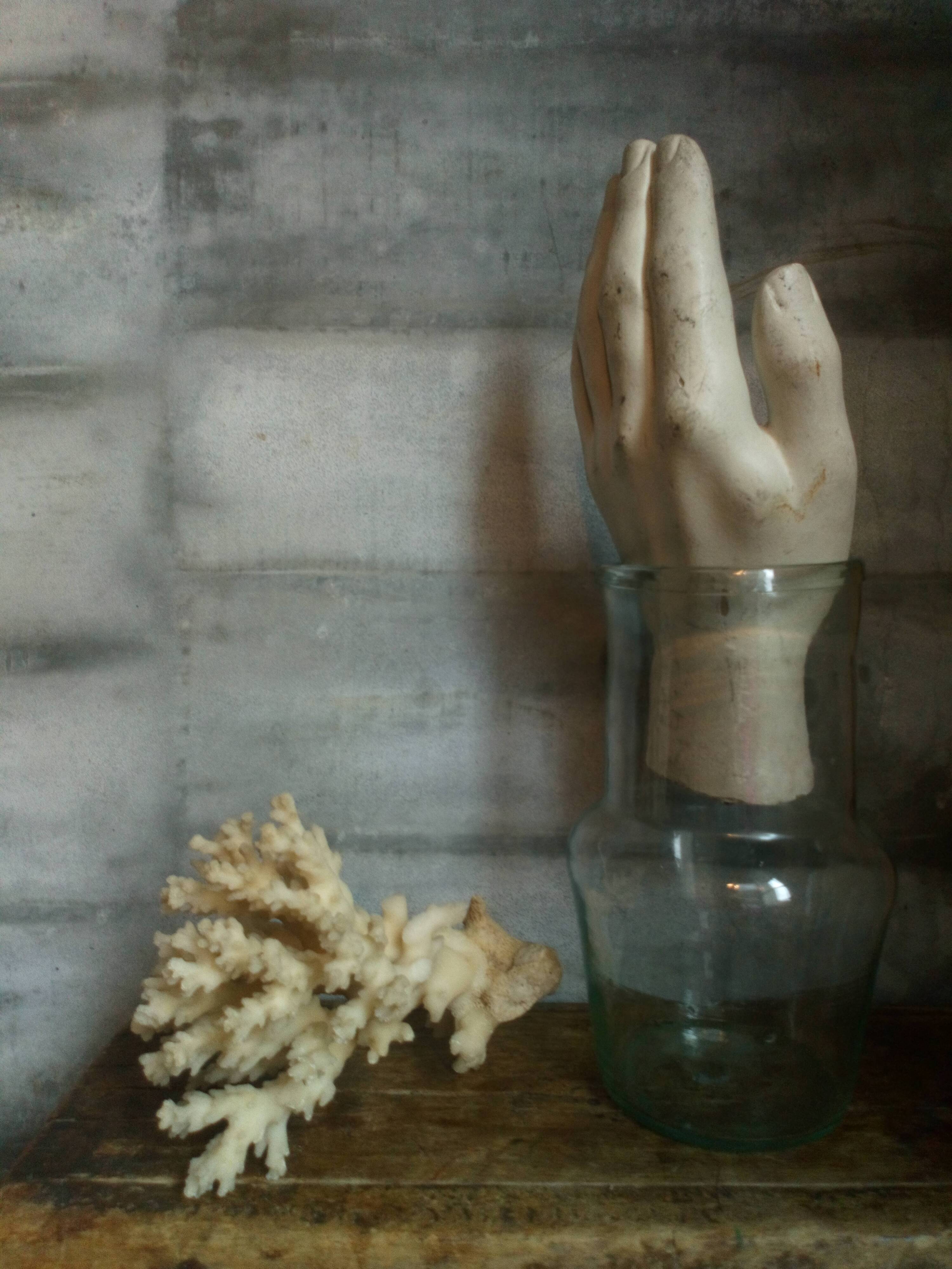 bouquet of ancient coral