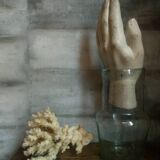 bouquet of ancient coral