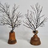 Pair of black fan corals on turned wooden base, Height 25 cm