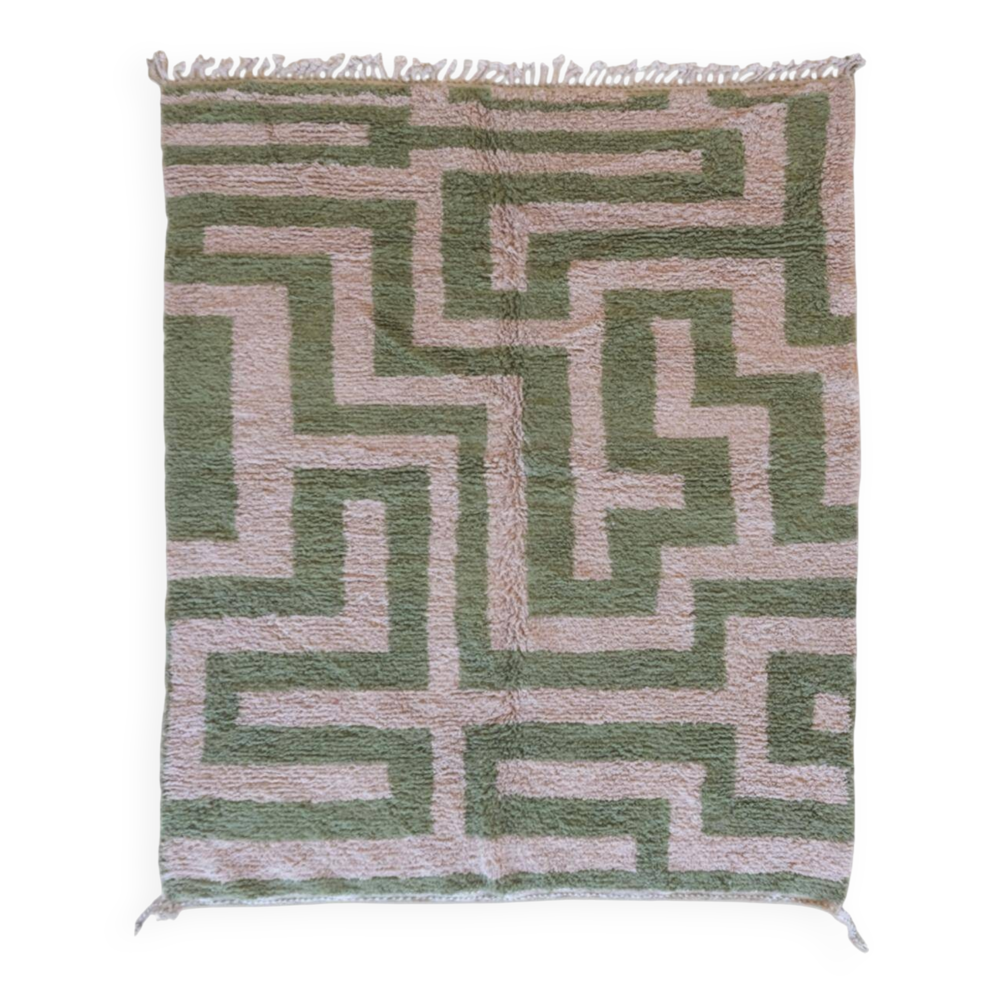 Tapis Contemporain Vert et Beige - 305 x 250 cm