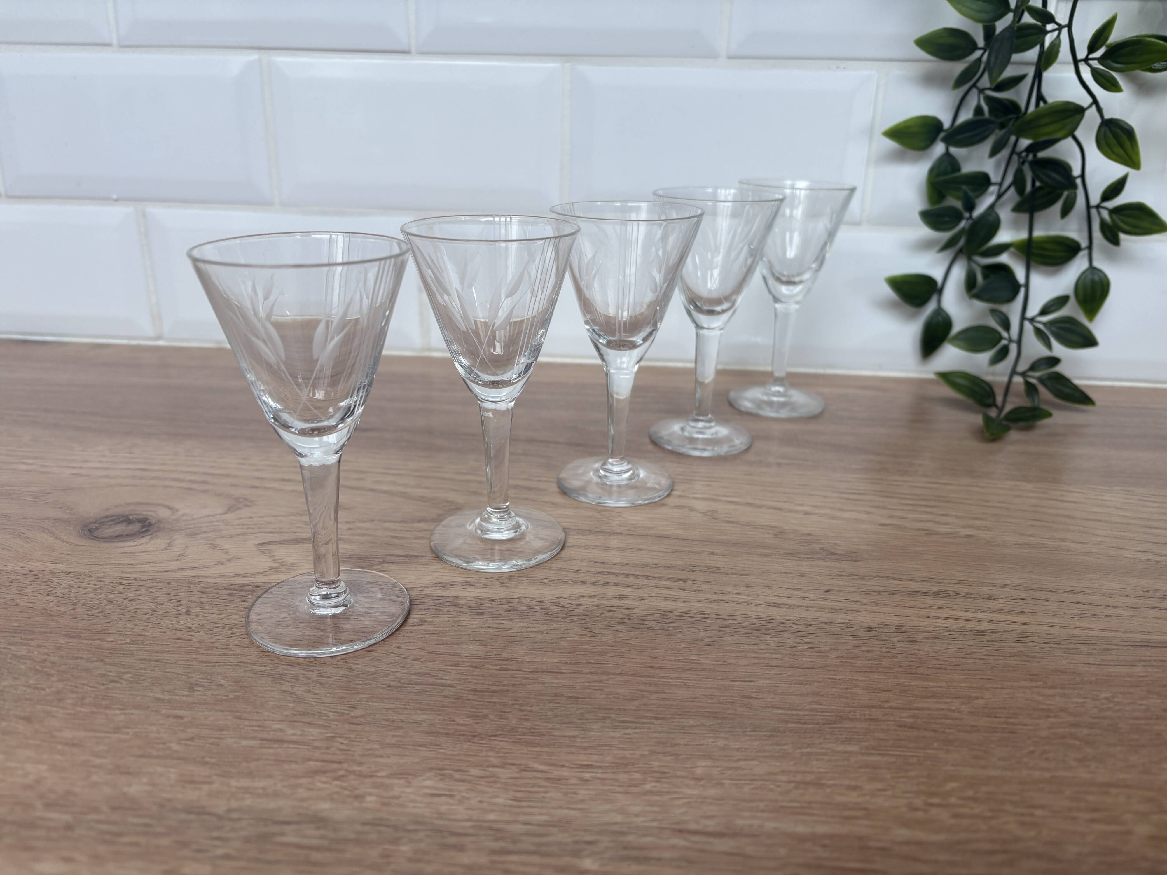 Set of 5 engraved glass liqueur glasses
