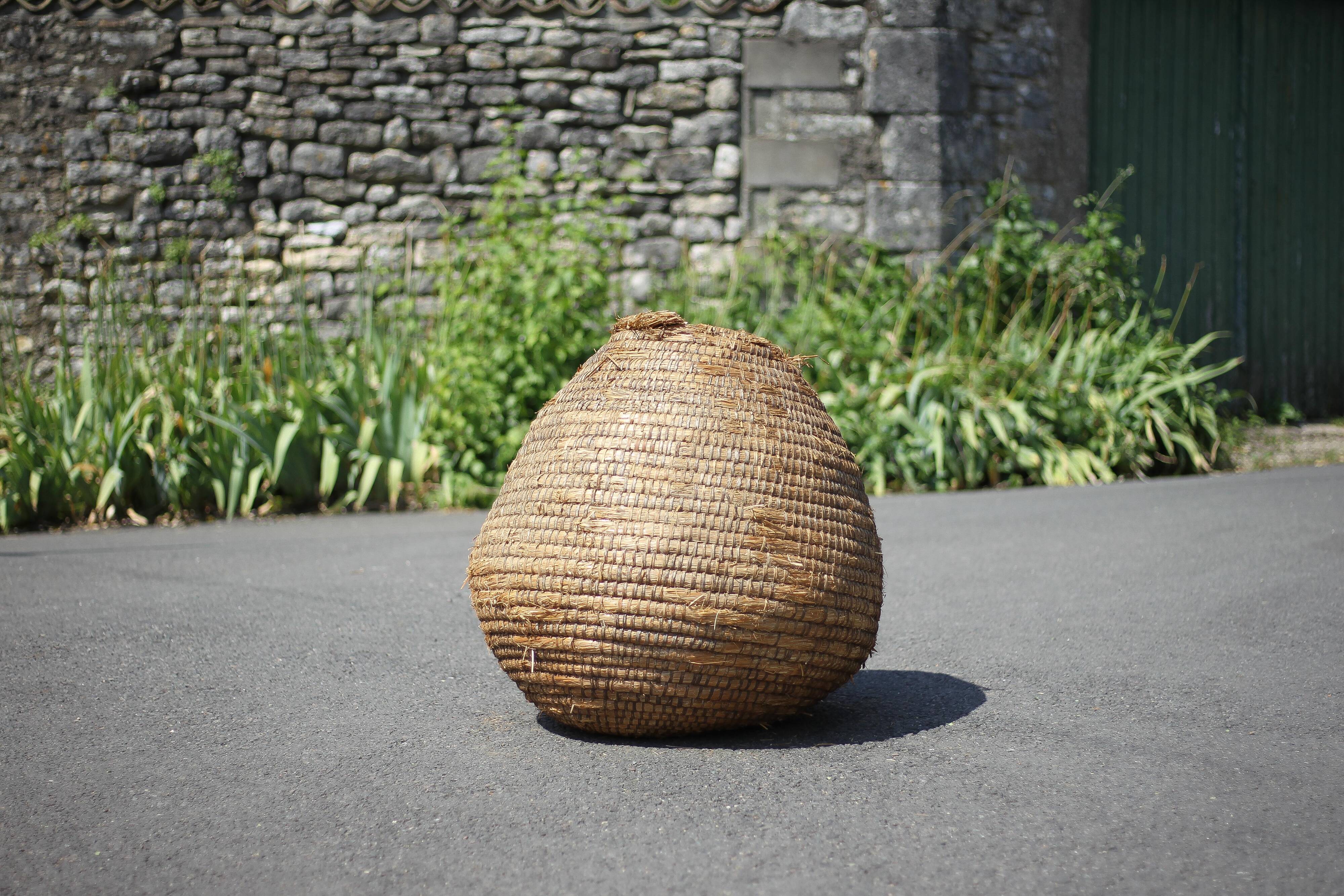 Old basket, burgundy straw and bramble, woven basket, interior decoration