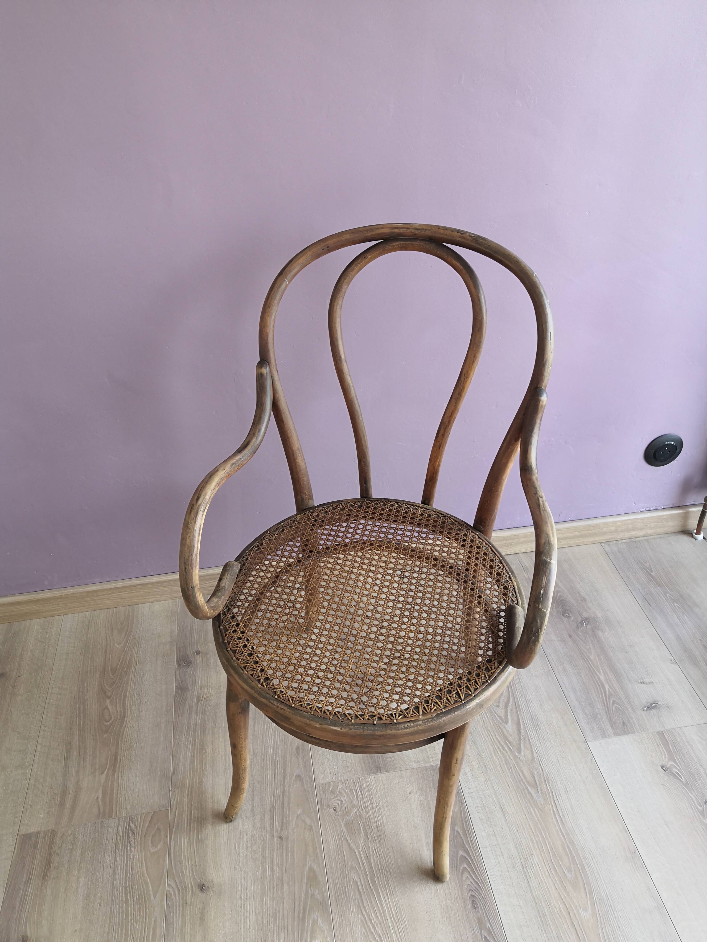 Thonet armchair in wood and cane, 1900