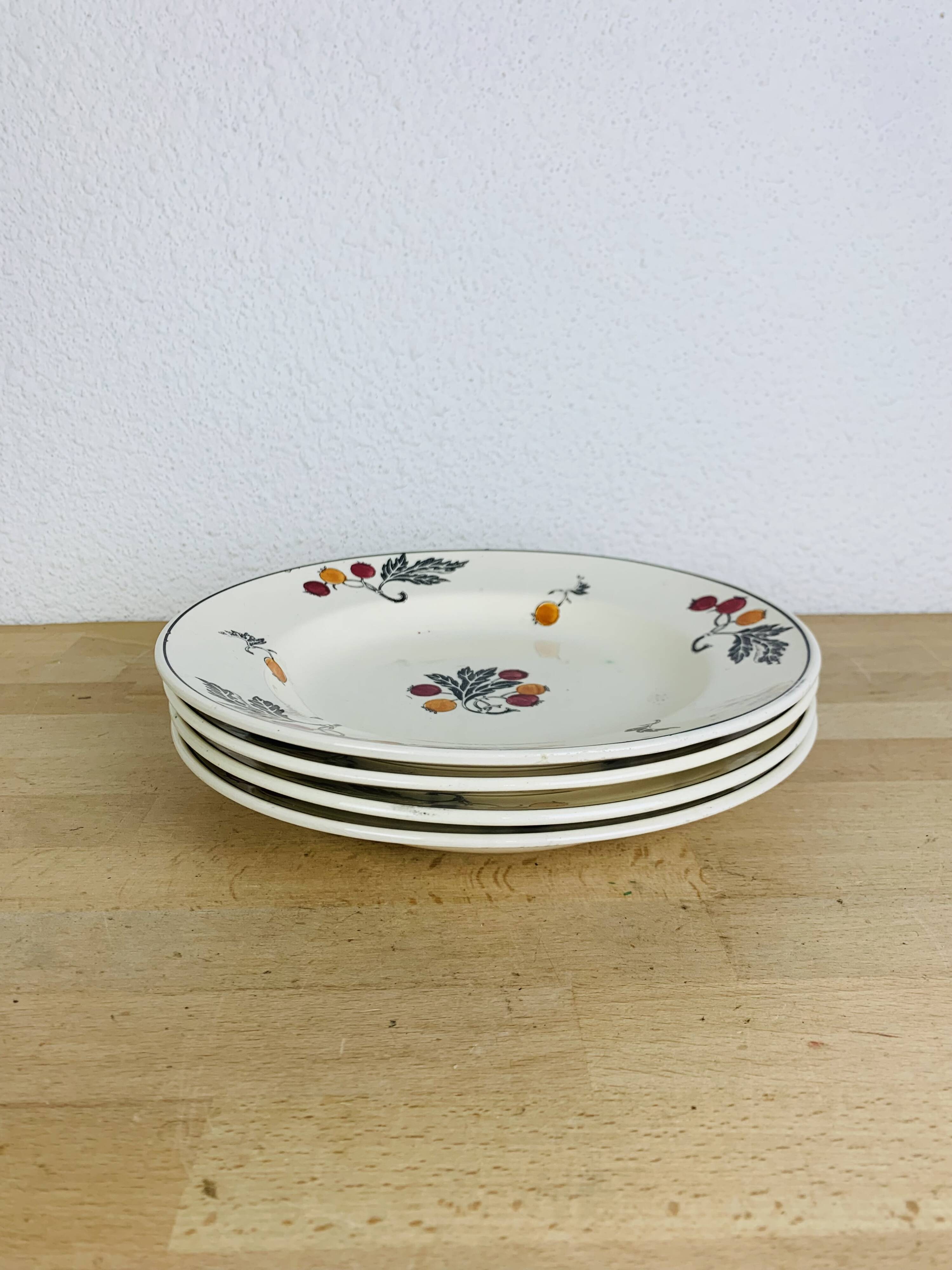 4 Longchamp iron earth soup plates, Aubépine model