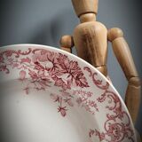 Quartet plates Campanula