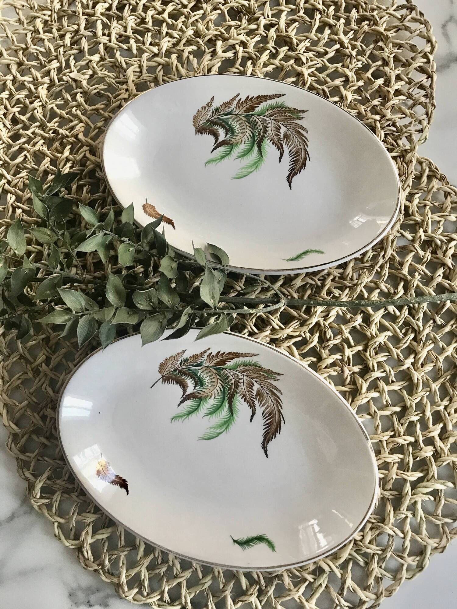 Very pretty little vintage Digoin Sarreguemines fern dishes